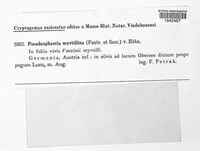 Image Associated With the Occurence